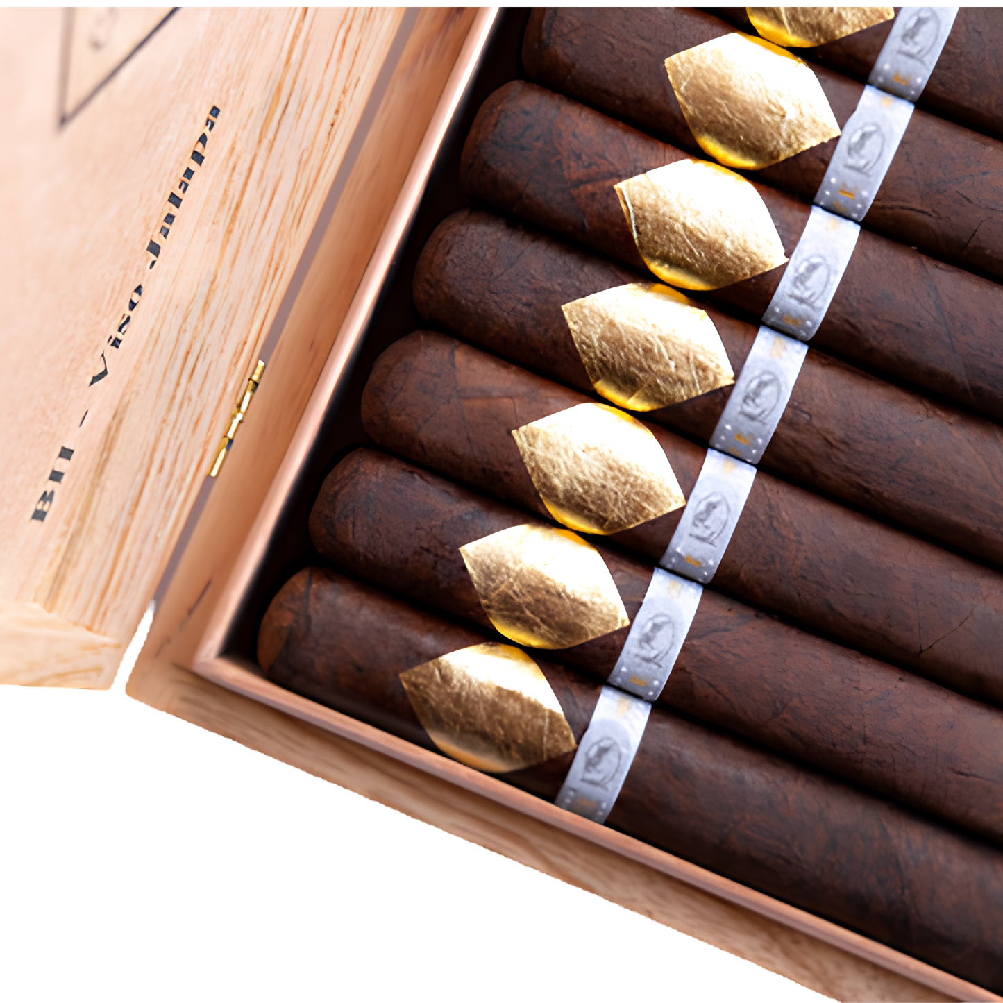 Cavalier Geneve Viso Jalapa
