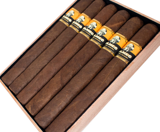 Foundation Cigars - Olmec Claro