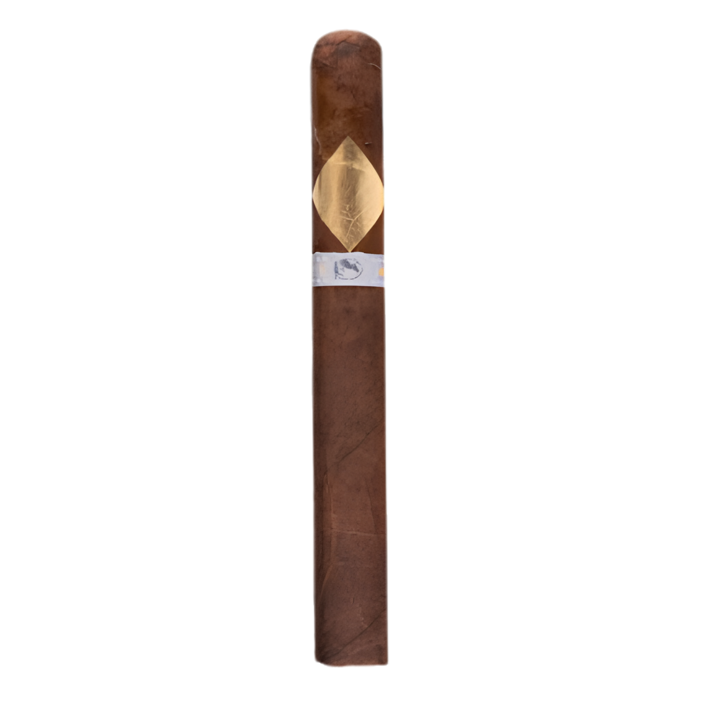 Cavalier Geneve Viso Jalapa
