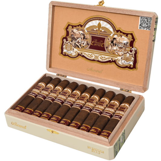 EP Carrillo Ascend