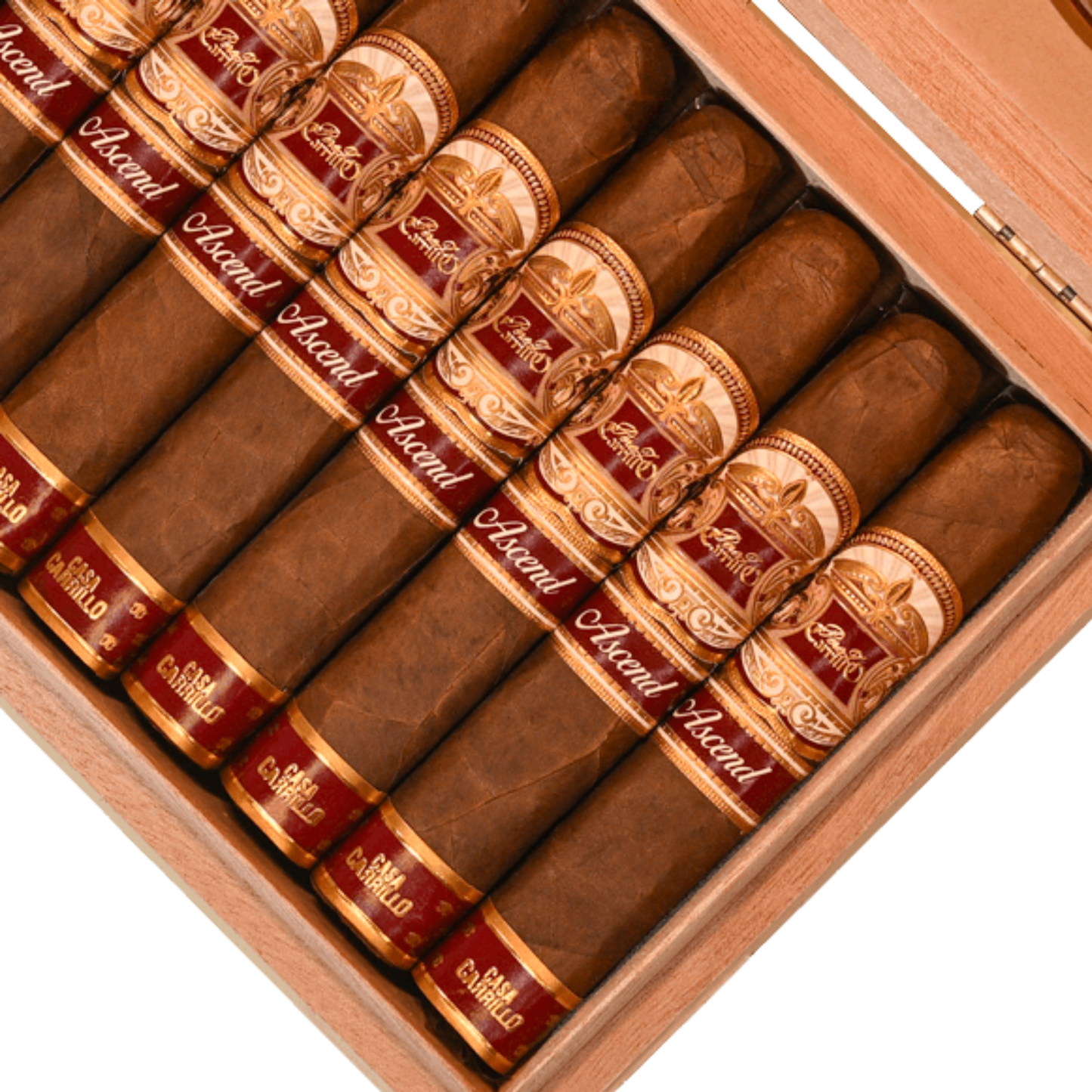 EP Carrillo Ascend
