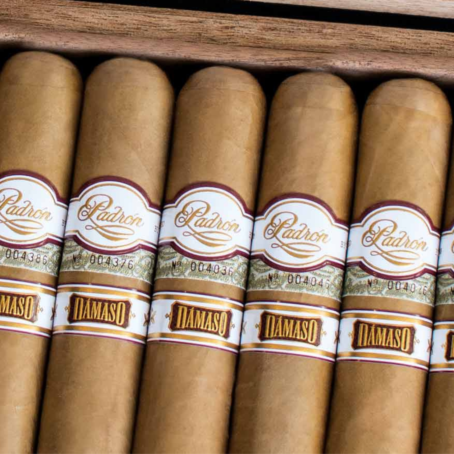 Padron Damaso